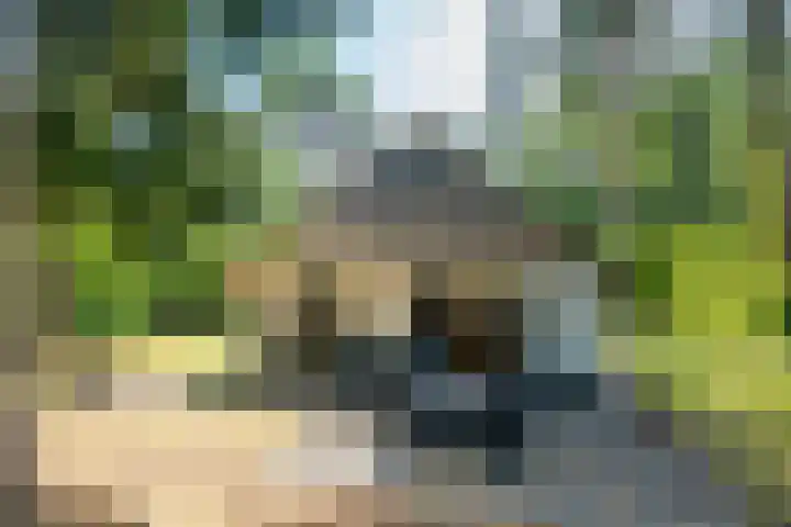 't Hertenspoor 33 Diever thumbnail 24