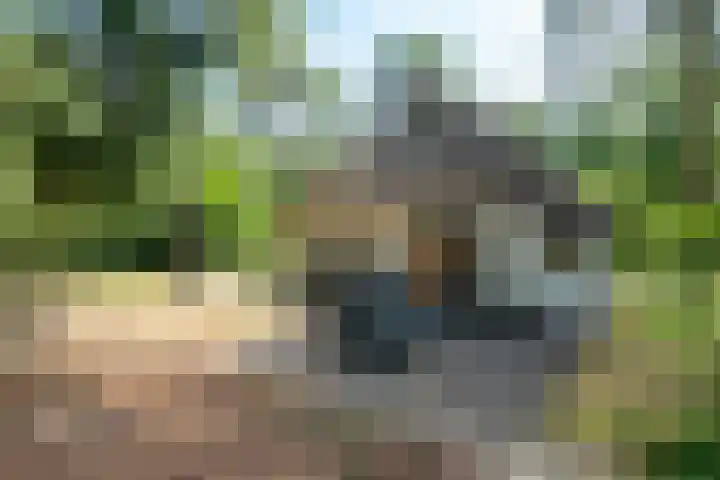 't Hertenspoor 33 Diever thumbnail 26