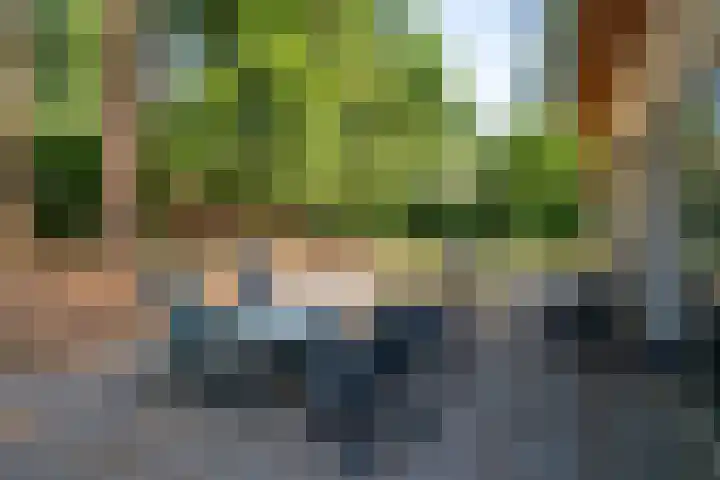 't Hertenspoor 33 Diever thumbnail 27