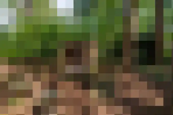 't Hertenspoor 33 Diever thumbnail 30