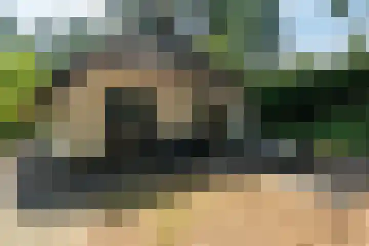 't Hertenspoor 33 Diever thumbnail 31