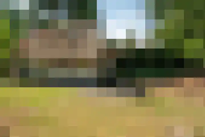 't Hertenspoor 33 Diever thumbnail 33