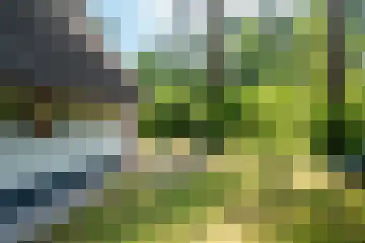 't Hertenspoor 33 Diever thumbnail 35