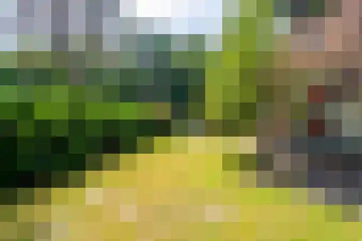 't Hertenspoor 33 Diever thumbnail 37