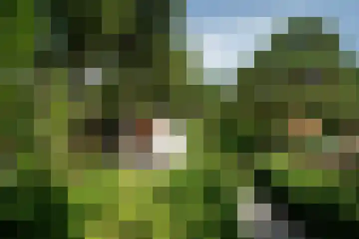 't Hertenspoor 33 Diever thumbnail 38