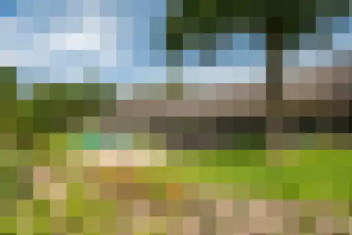 't Hertenspoor 33 Diever thumbnail 39