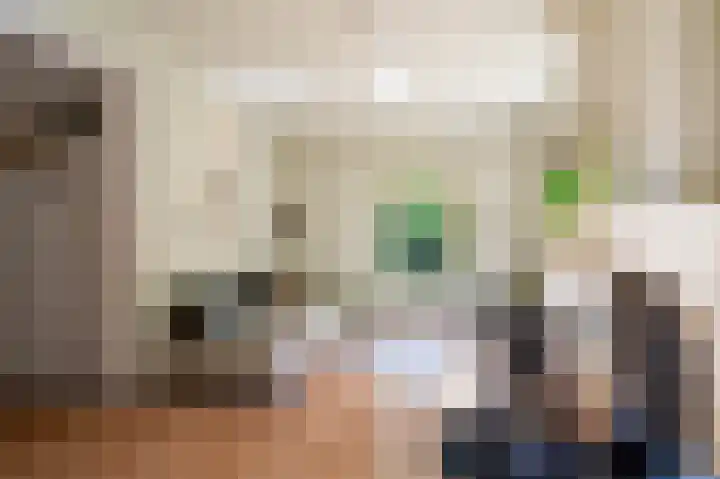 't Hertenspoor 33 Diever thumbnail 9