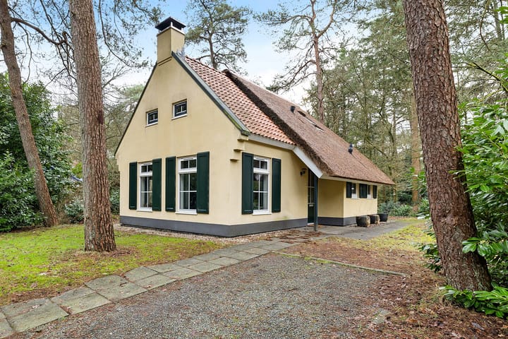 't Hertenspoor 46 in Diever