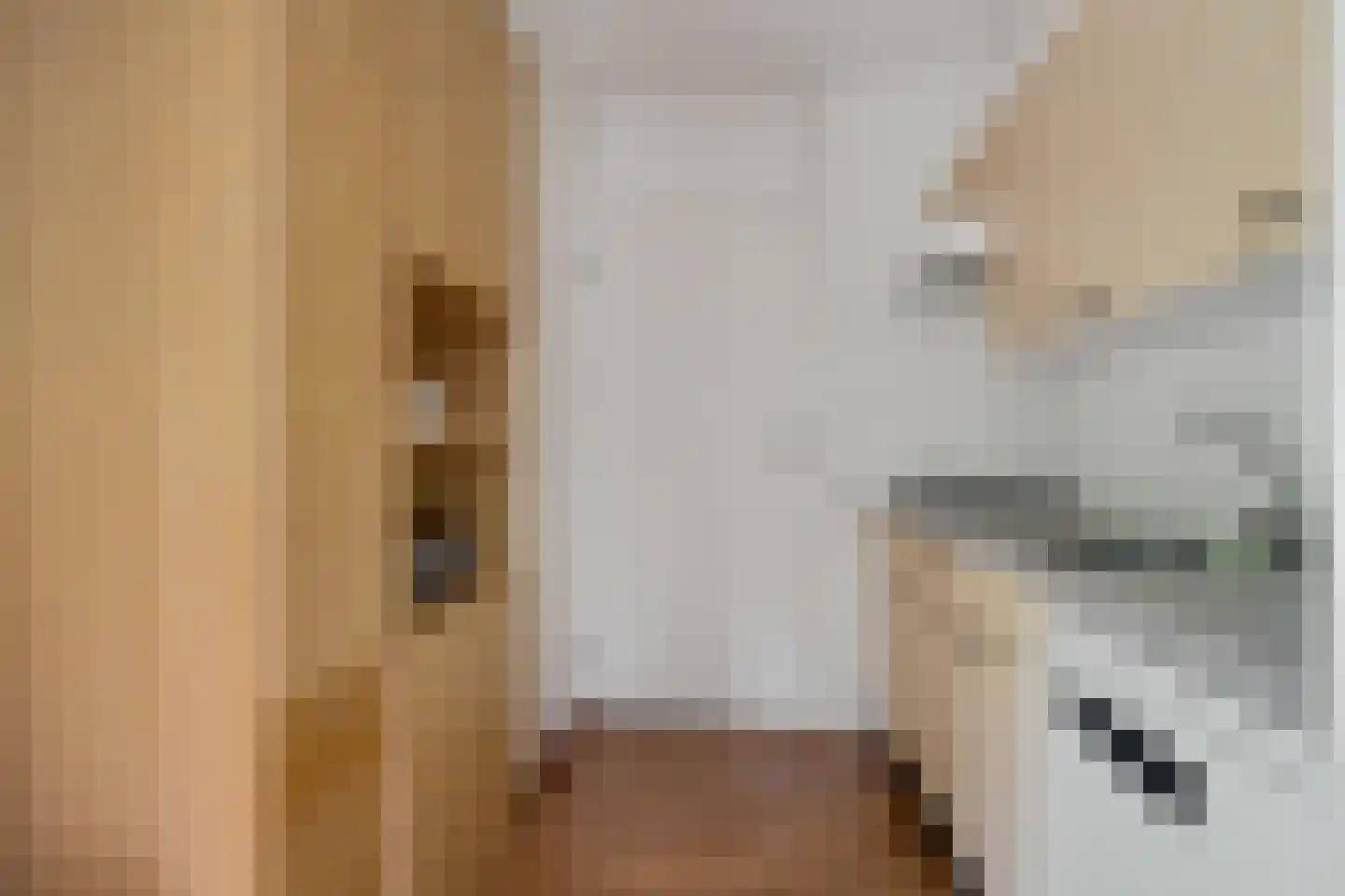 't Hertenspoor 5 Diever thumbnail 13