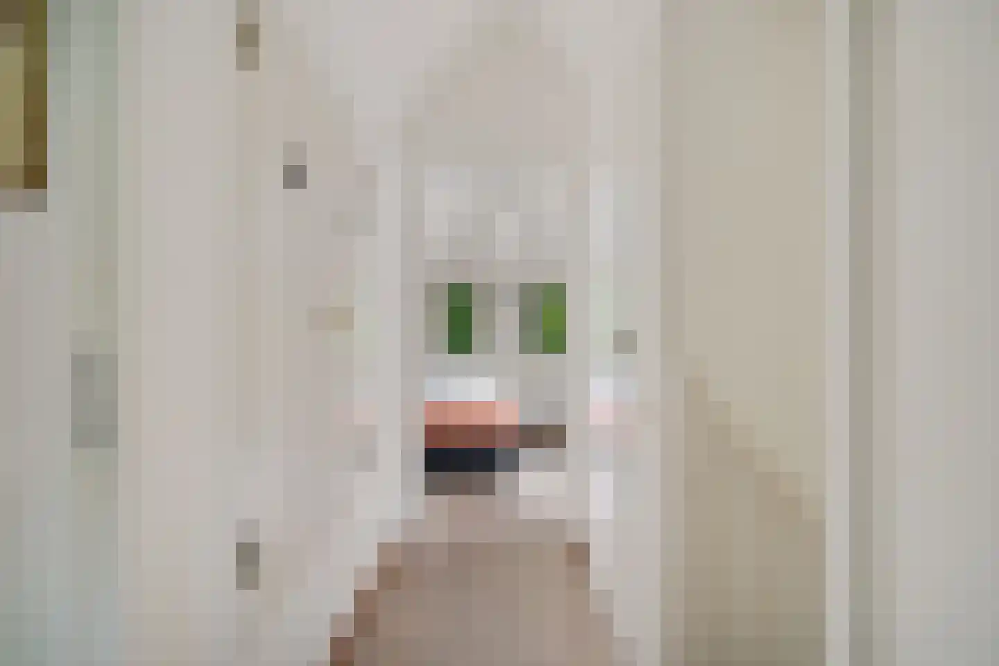 't Hertenspoor 5 Diever thumbnail 21