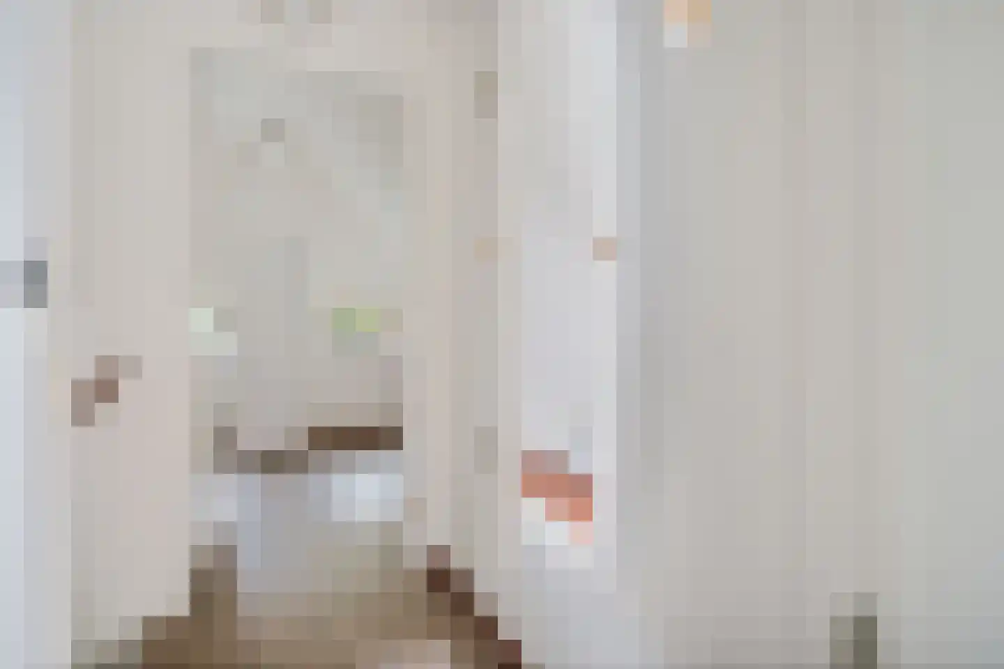 't Hertenspoor 5 Diever thumbnail 22