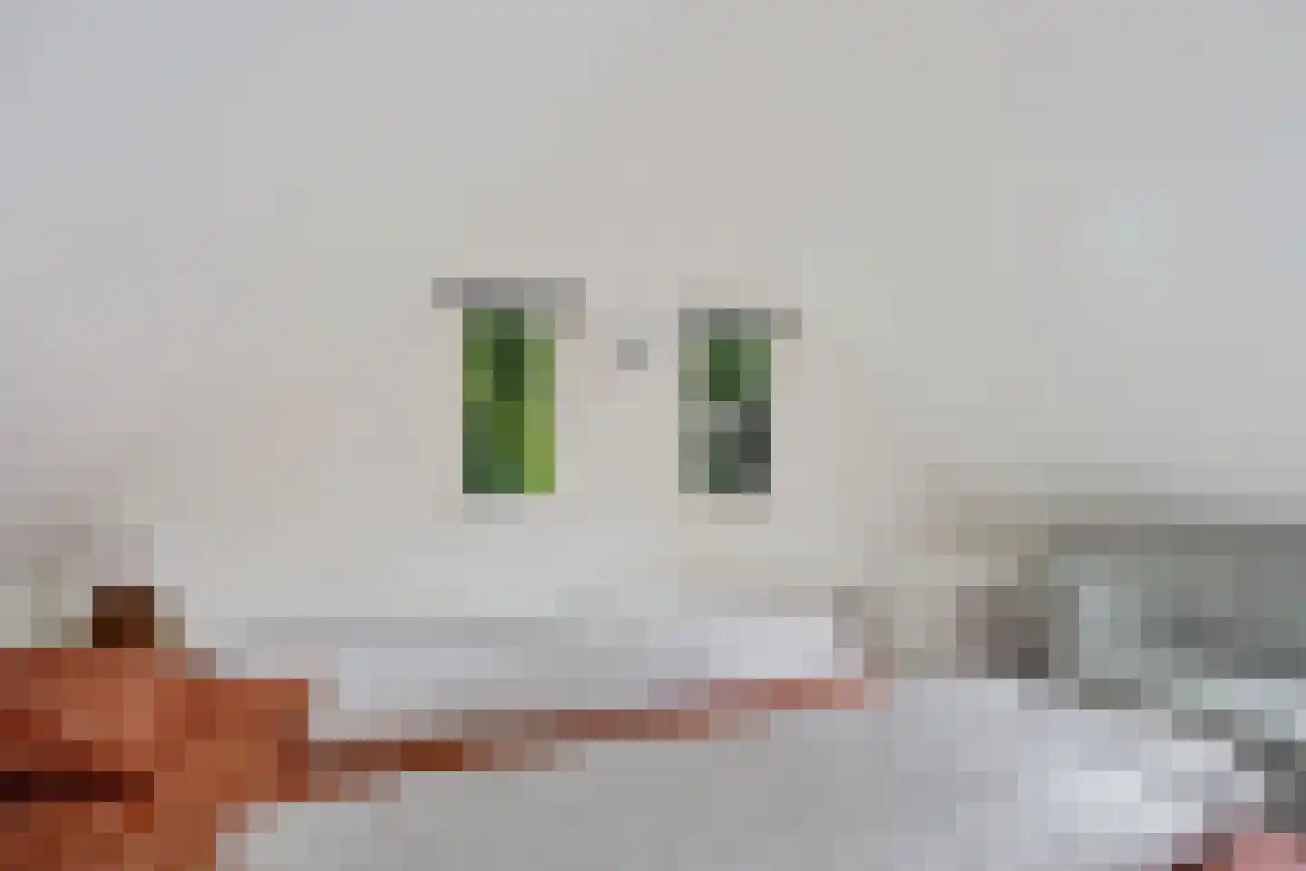 't Hertenspoor 5 Diever thumbnail 26