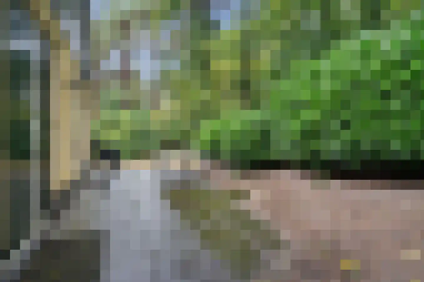 't Hertenspoor 5 Diever thumbnail 33
