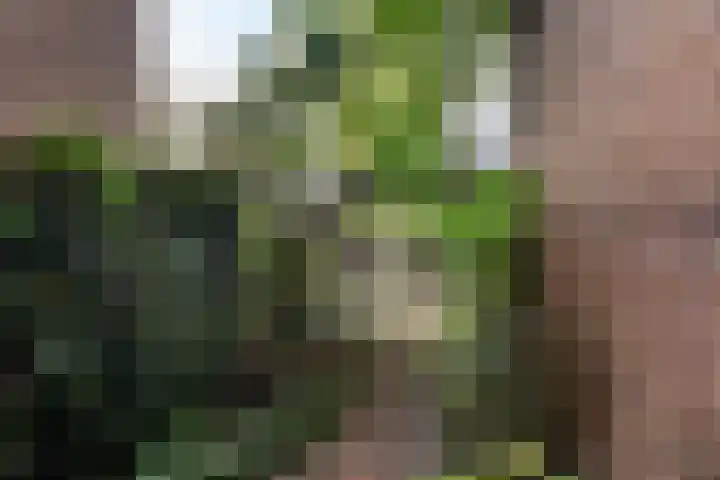 't Hertenspoor 65 Diever thumbnail 10