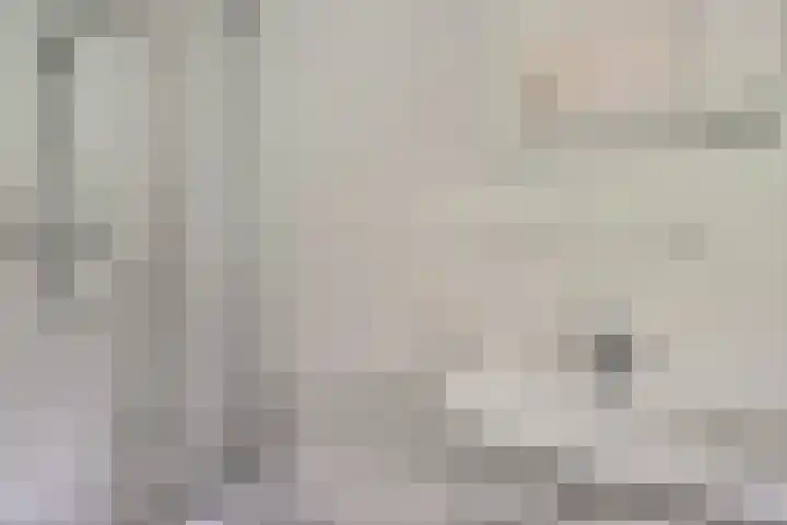 't Hertenspoor 65 Diever thumbnail 15