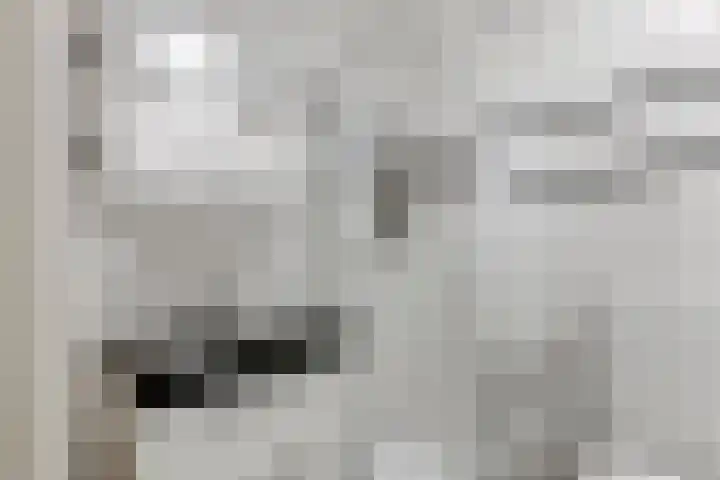 't Hertenspoor 65 Diever thumbnail 16