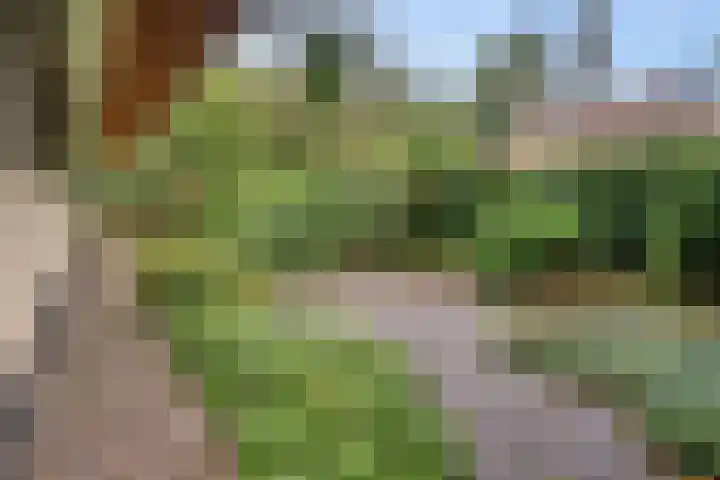 't Hertenspoor 65 Diever thumbnail 32