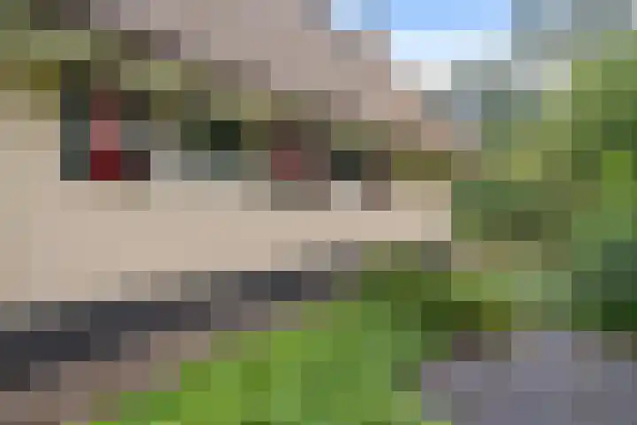 't Hertenspoor 65 Diever thumbnail 35