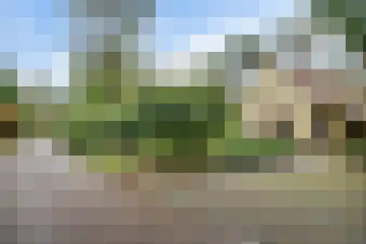 't Hertenspoor 65 Diever thumbnail 36