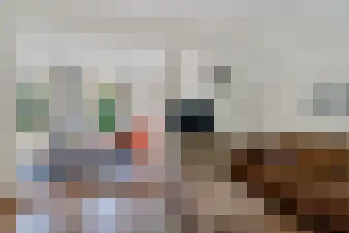 't Hertenspoor 65 Diever thumbnail 6