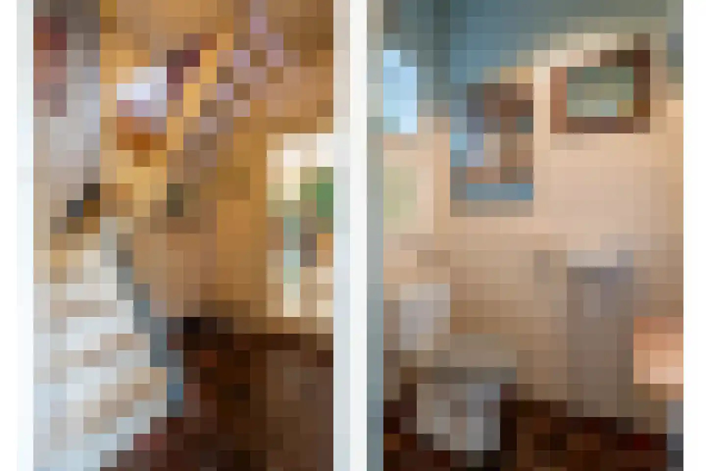 't Hoekske 2 Ulvenhout thumbnail 18