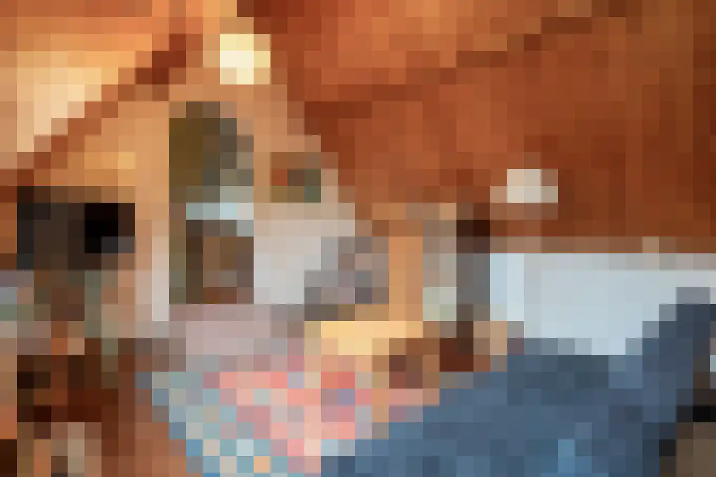 't Hoekske 2 Ulvenhout thumbnail 23