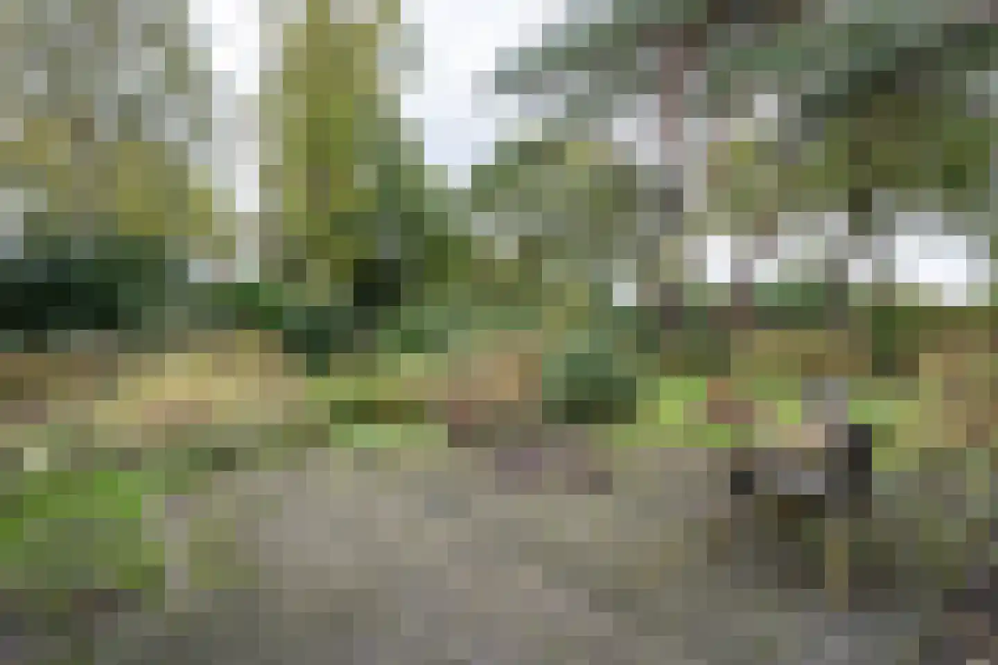 't Hoekske 2 Ulvenhout thumbnail 29