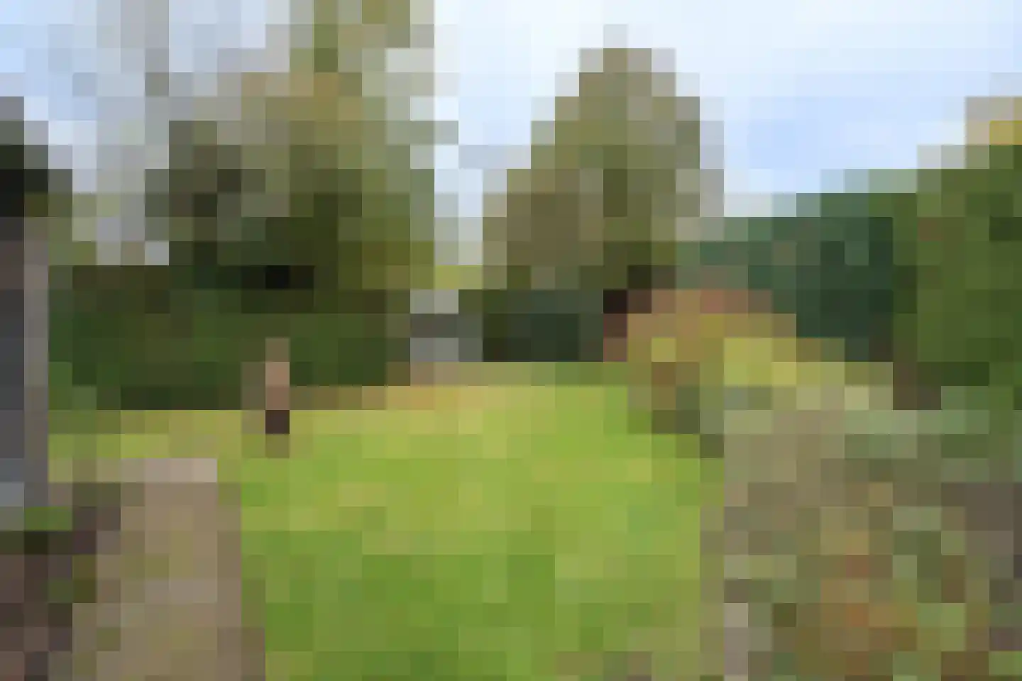 't Hoekske 2 Ulvenhout thumbnail 30