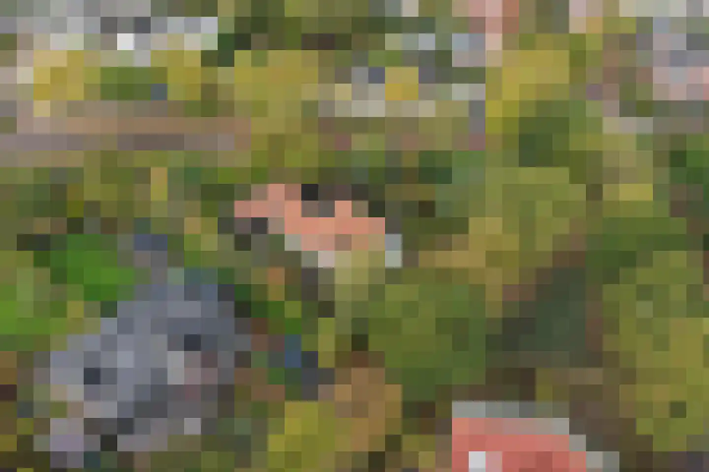 't Hoekske 2 Ulvenhout thumbnail 34