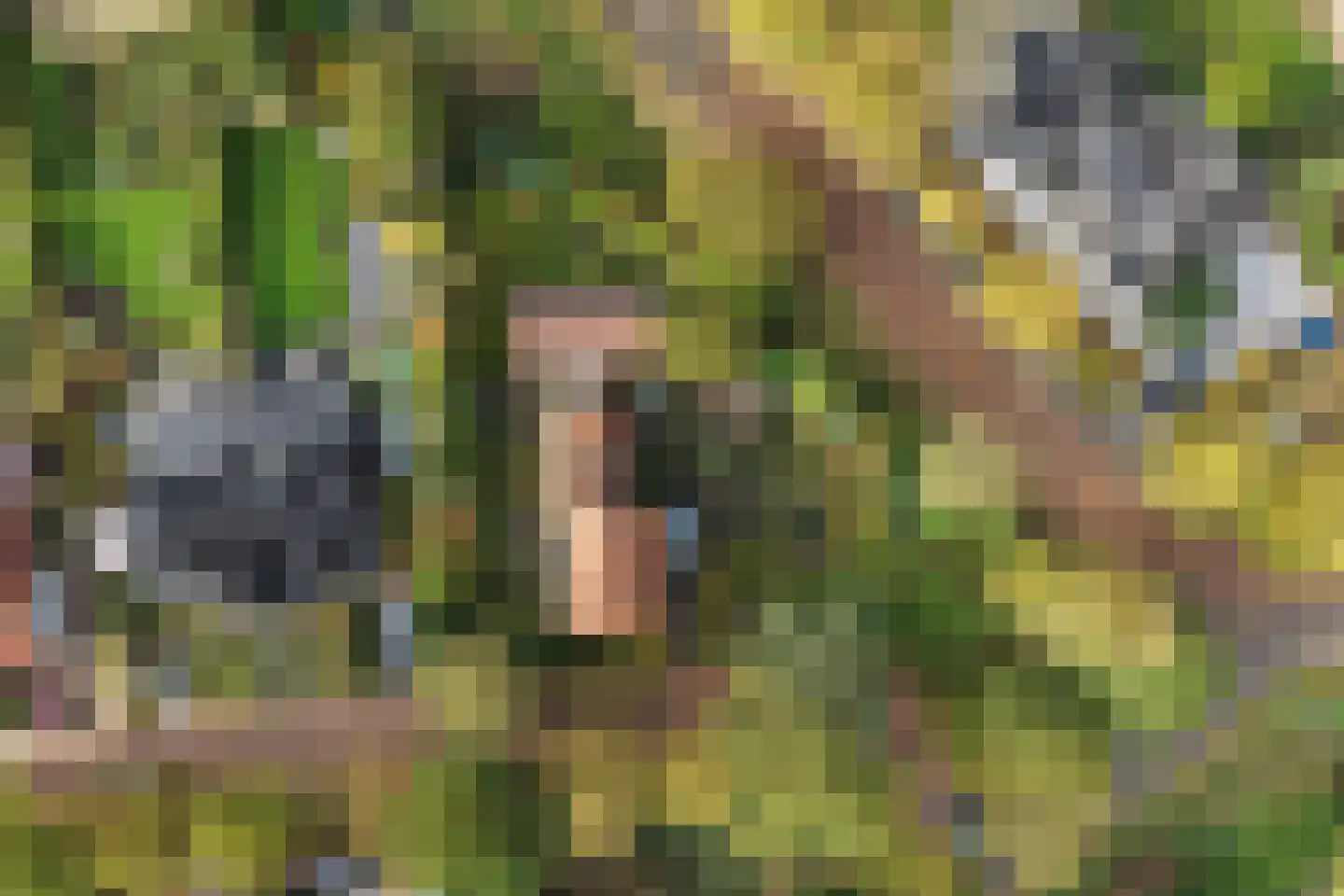 't Hoekske 2 Ulvenhout thumbnail 36