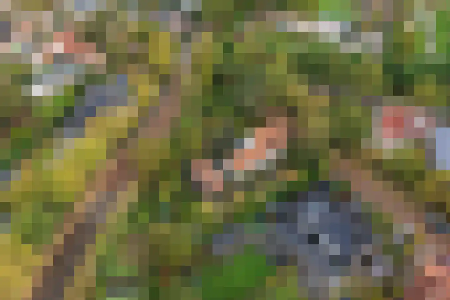 't Hoekske 2 Ulvenhout thumbnail 38