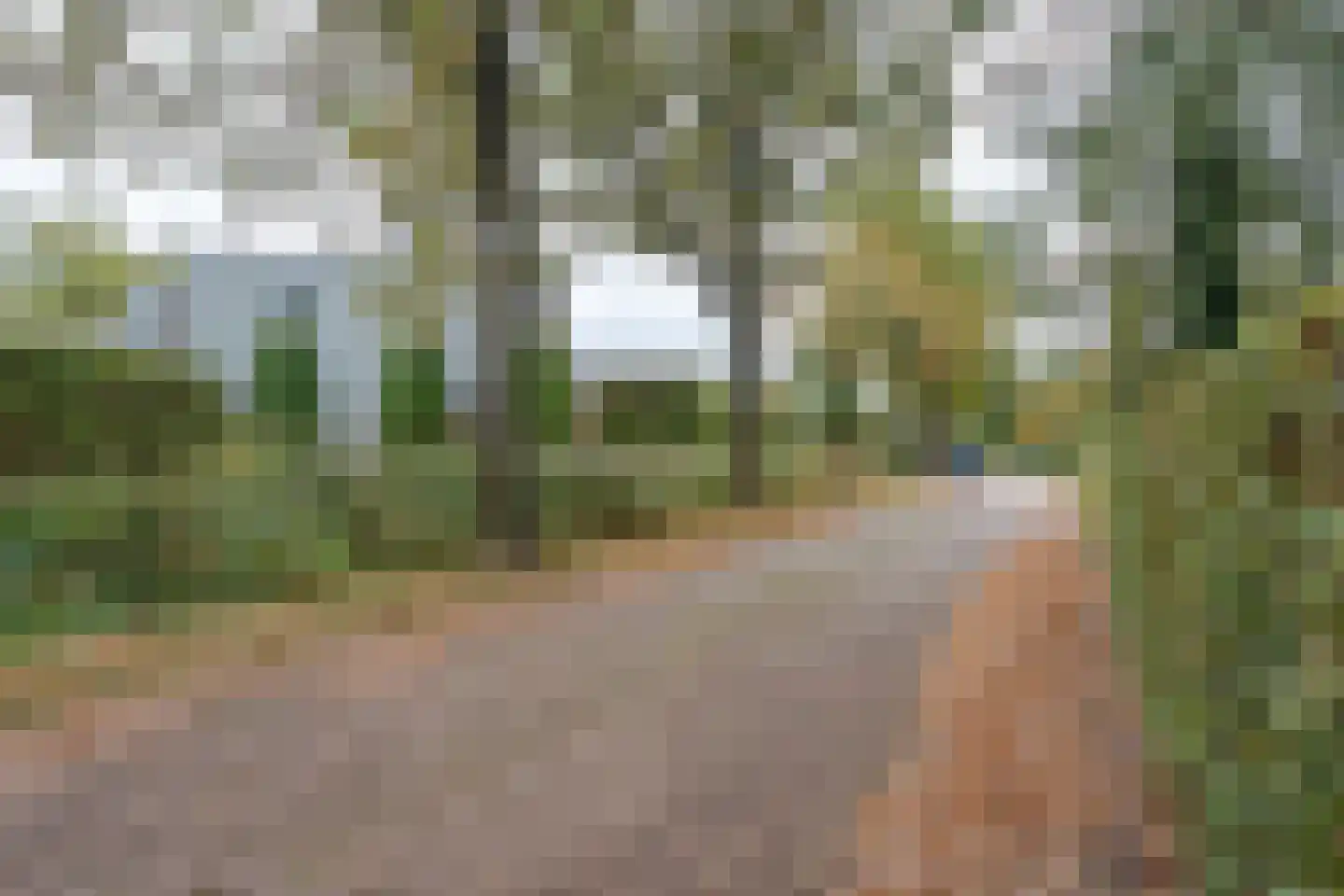 't Hoekske 2 Ulvenhout thumbnail 39