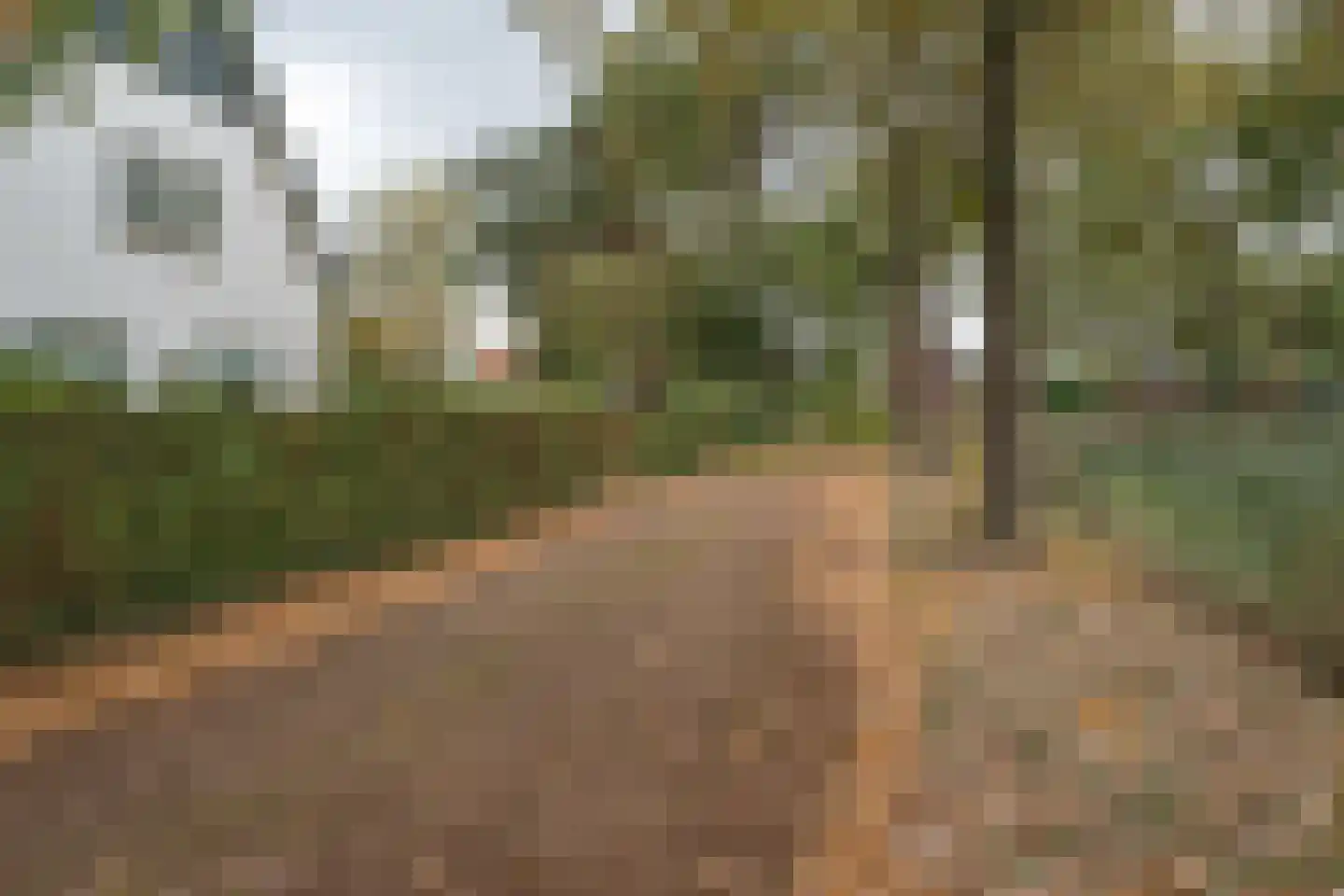 't Hoekske 2 Ulvenhout thumbnail 40