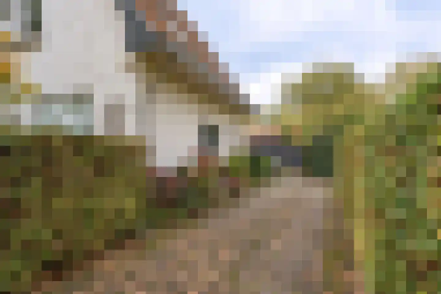 't Hoekske 2 Ulvenhout thumbnail 7