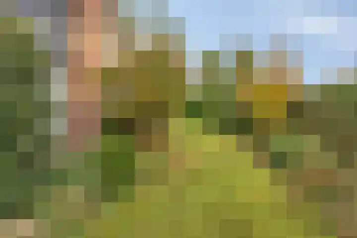 't Höltje 48 Helden thumbnail 33