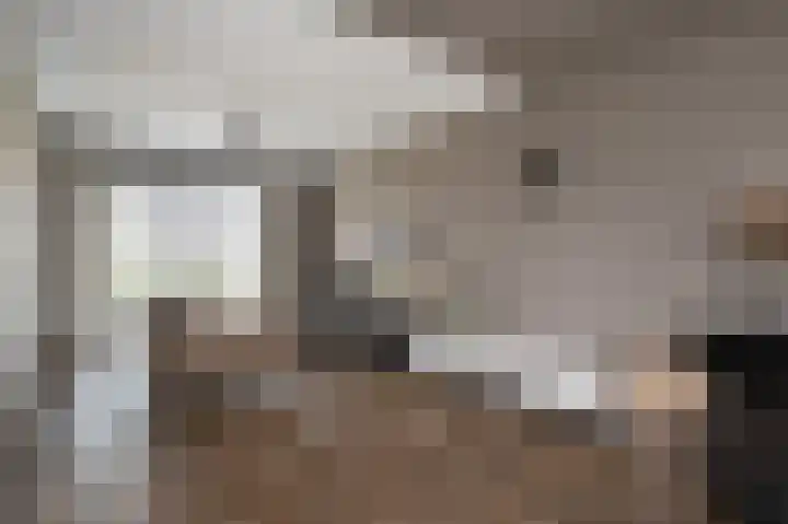 't Koejepad 7 Ouddorp thumbnail 11