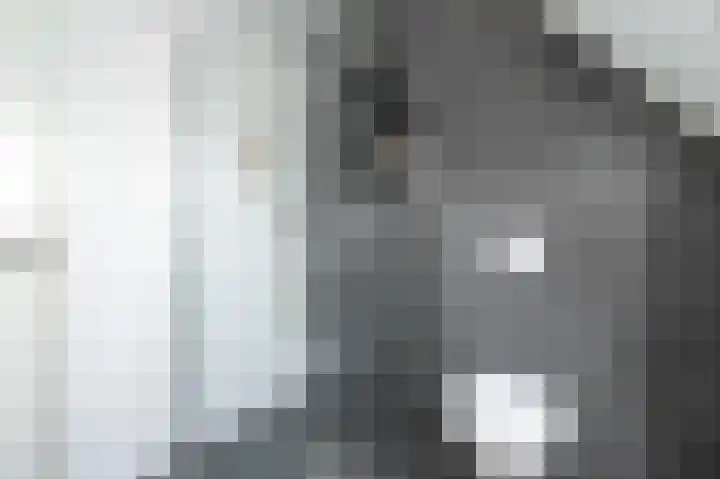 't Koejepad 7 Ouddorp thumbnail 19
