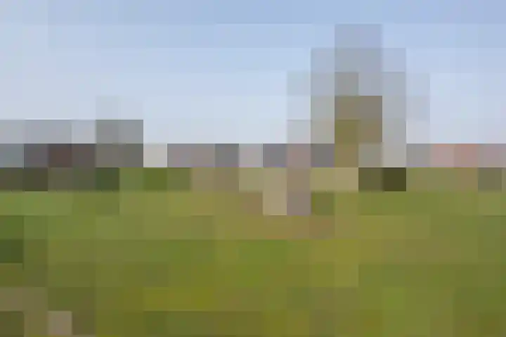 't Koejepad 7 Ouddorp thumbnail 34