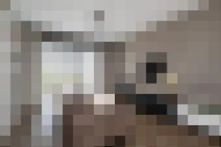 't Koejepad 7 Ouddorp thumbnail 9