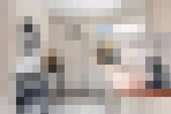 't Leantsje 100 Gorredijk thumbnail 11