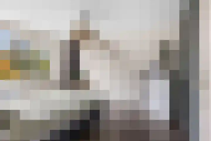 't Leantsje 100 Gorredijk thumbnail 16