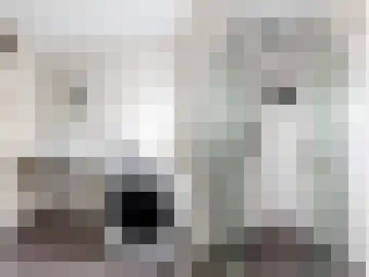 't Leantsje 100 Gorredijk thumbnail 21