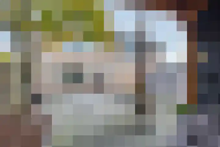 't Leantsje 100 Gorredijk thumbnail 26