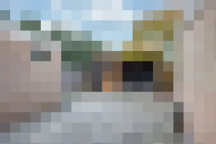 't Leantsje 100 Gorredijk thumbnail 27