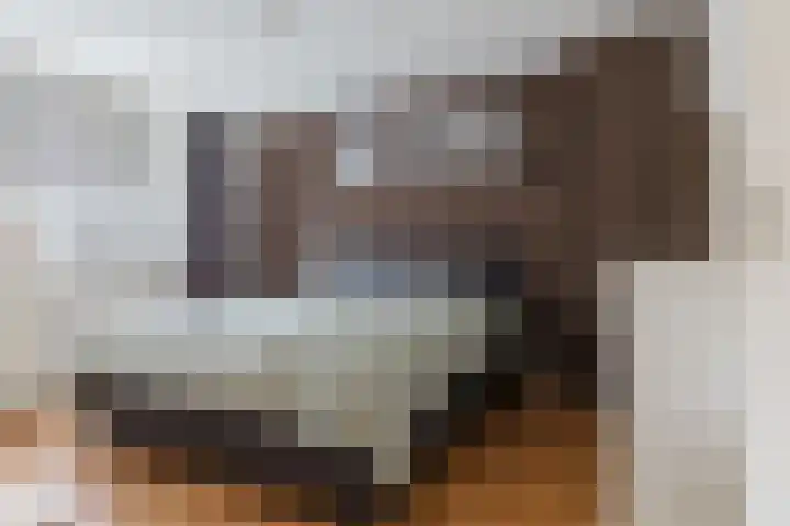 't Leantsje 90 Gorredijk thumbnail 20