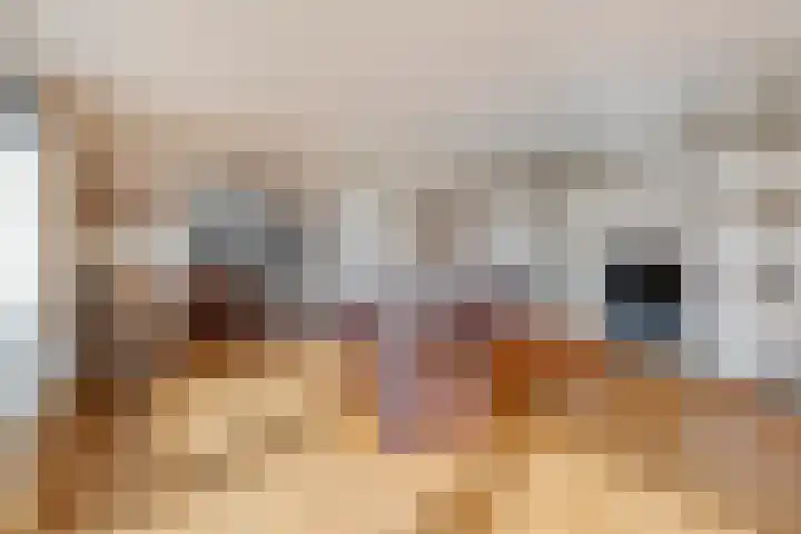 't Lindeke 14 Halsteren thumbnail 10