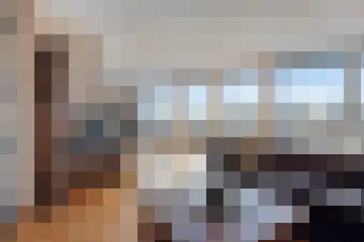 't Lindeke 14 Halsteren thumbnail 11