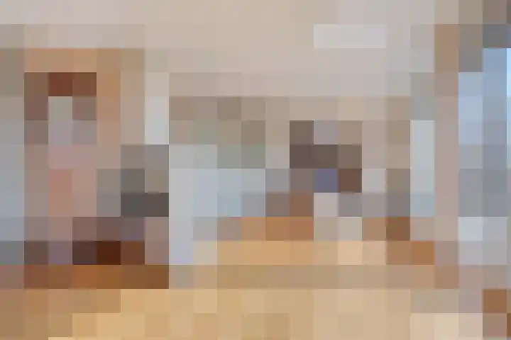 't Lindeke 14 Halsteren thumbnail 12
