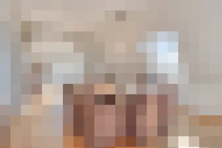 't Lindeke 14 Halsteren thumbnail 20