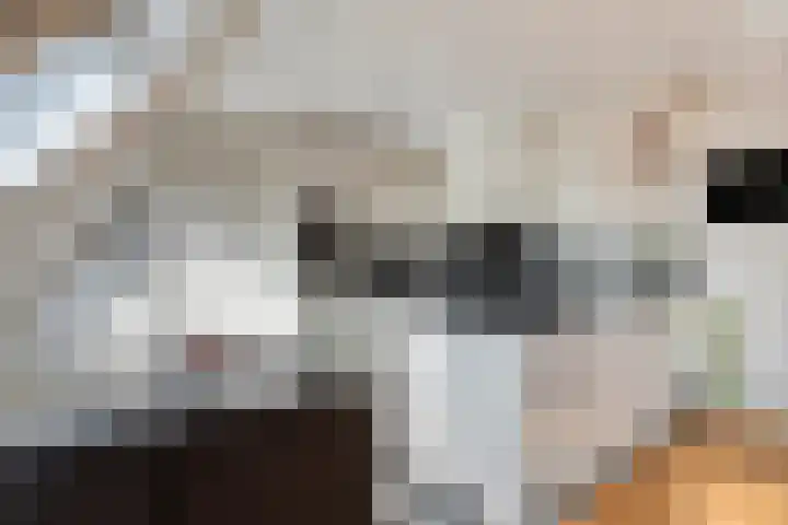 't Lindeke 14 Halsteren thumbnail 22